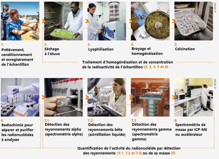 Quantification de l'activité