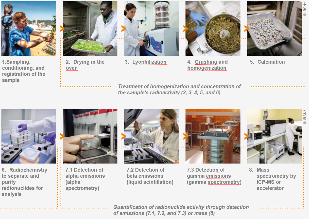 Sample preparation