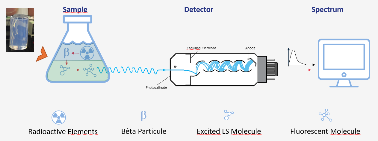 Liquid scintillation diagram