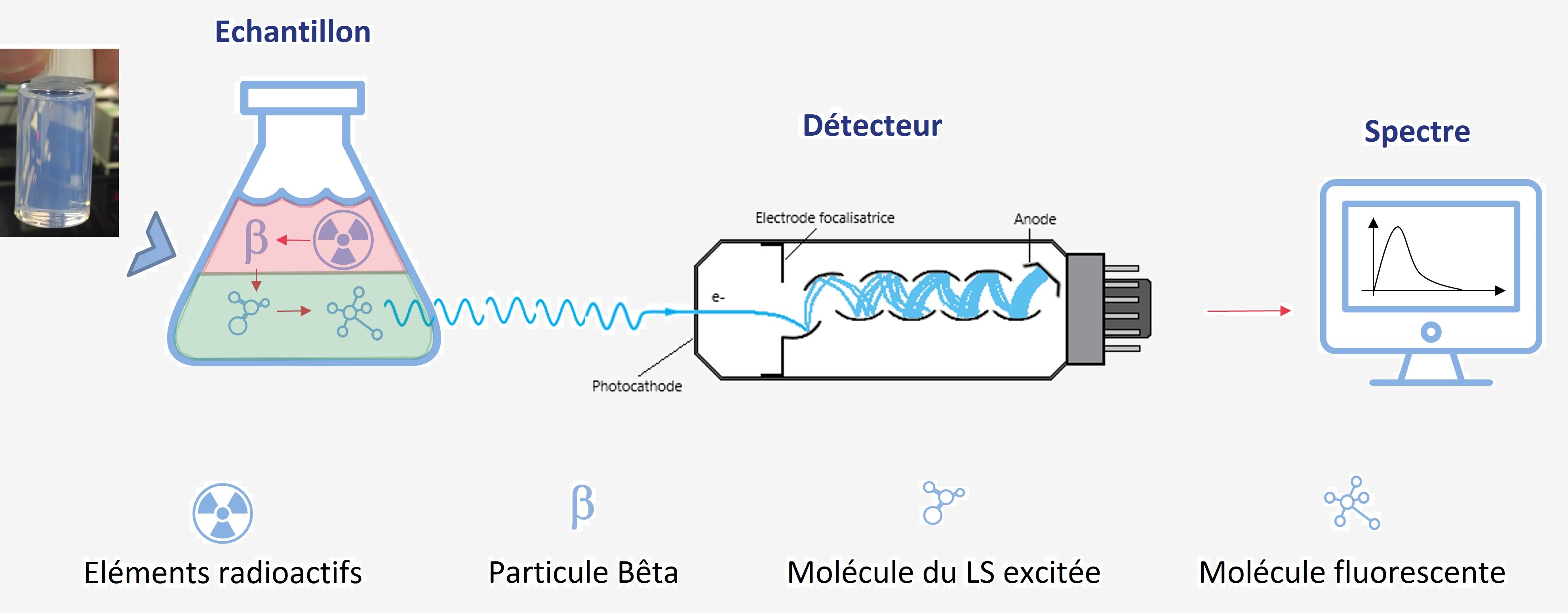 Schéma de la scintillation liquide